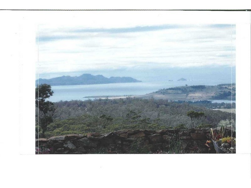 500 Bresnehans Road, Little Swanport TAS 7190