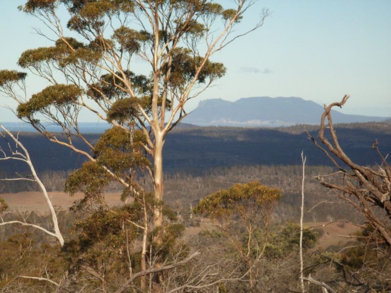 500 Bresnehans Road, Little Swanport TAS 7190