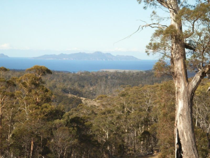 Lot 2 Bresnehans Road, Little Swanport TAS 7190