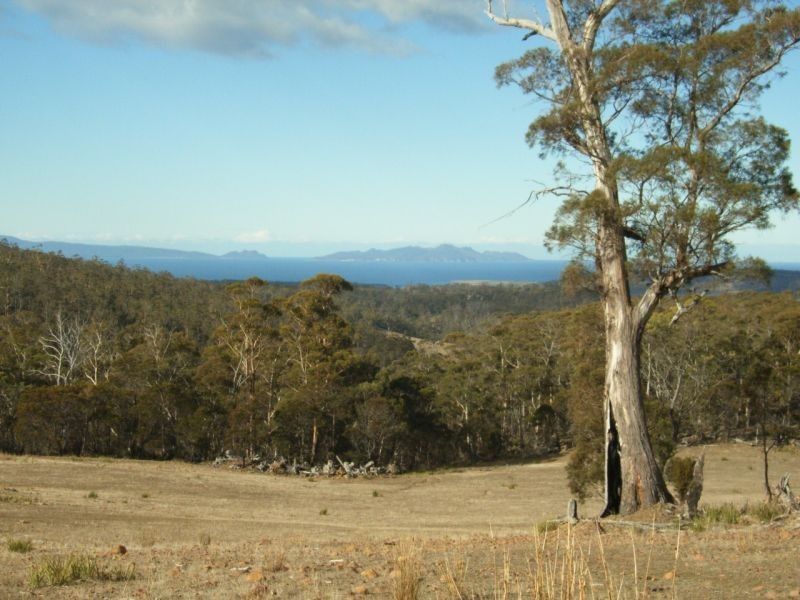 Lot 2 Bresnehans Road, Little Swanport TAS 7190