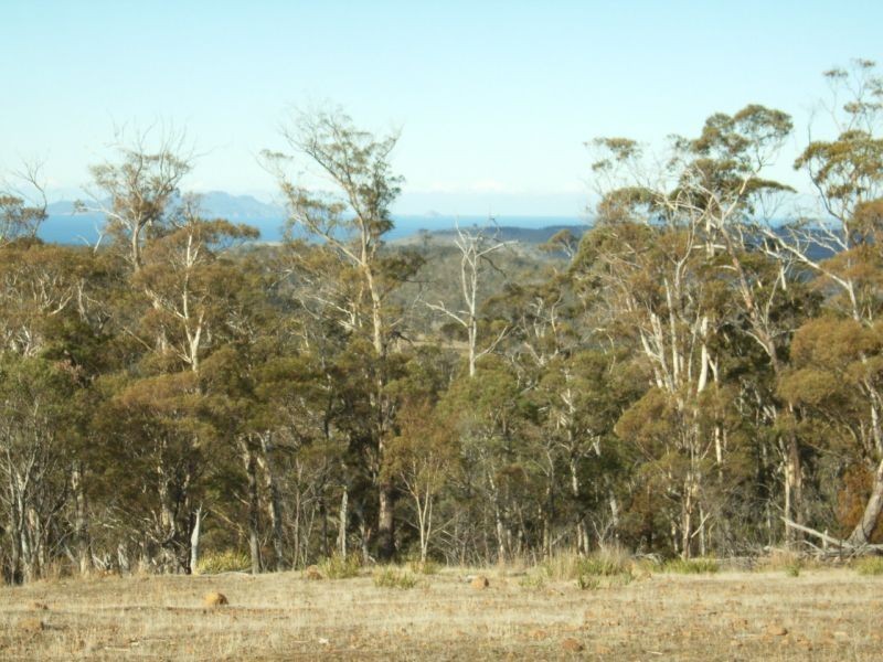 Lot 2 Bresnehans Road, Little Swanport TAS 7190