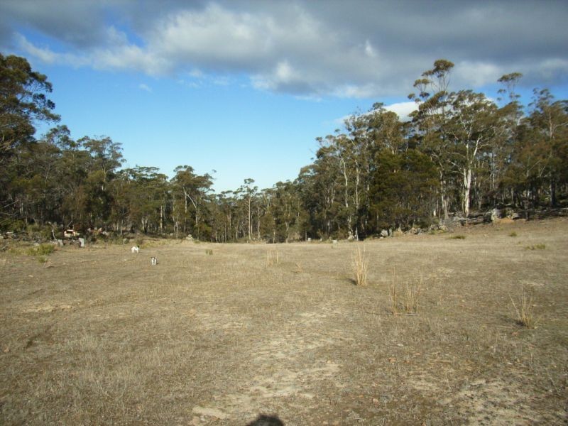 Lot 2 Bresnehans Road, Little Swanport TAS 7190