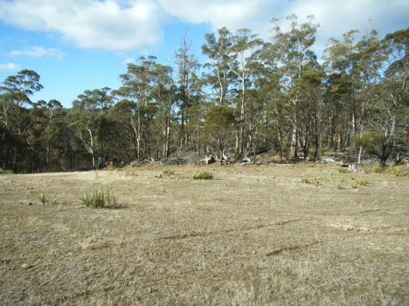 Lot 2 Bresnehans Road, Little Swanport TAS 7190