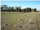 Lot 2 13511 Tasman Highway, Swansea TAS 7190