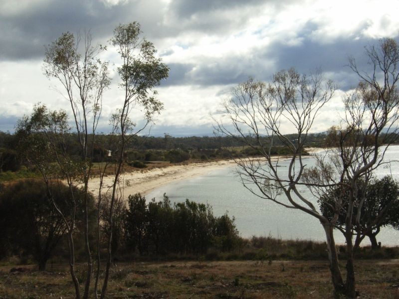 12990 Tasman Highway, Swansea TAS 7190