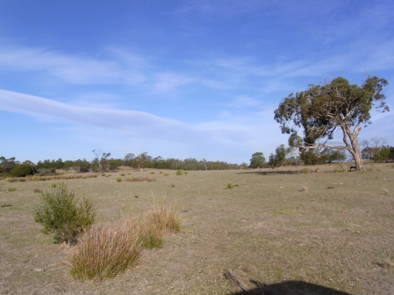 Lot 1 Lake Leake Road, Swansea TAS 7190