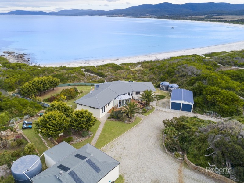 236 Champ Street, Seymour TAS 7215