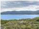 236 Champ Street, Seymour TAS 7215