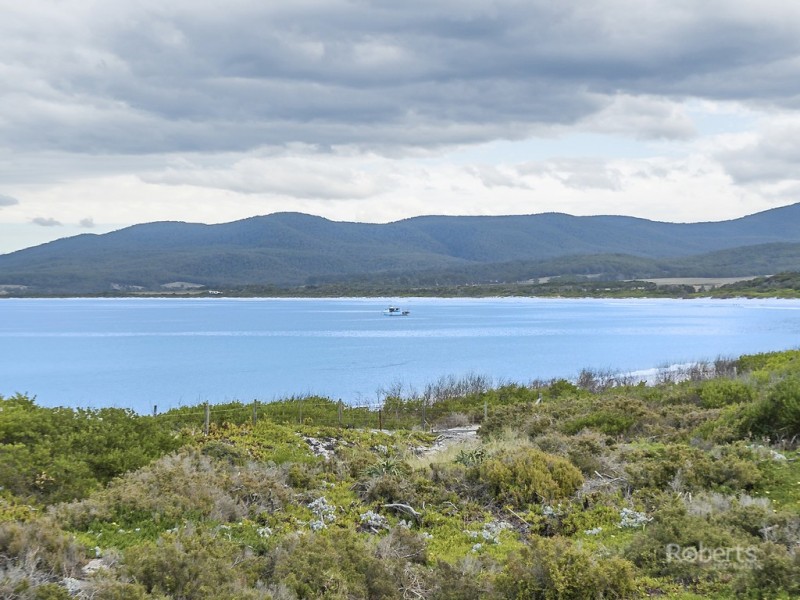 236 Champ Street, Seymour TAS 7215