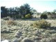 212 Gordon Street, Swansea TAS 7190