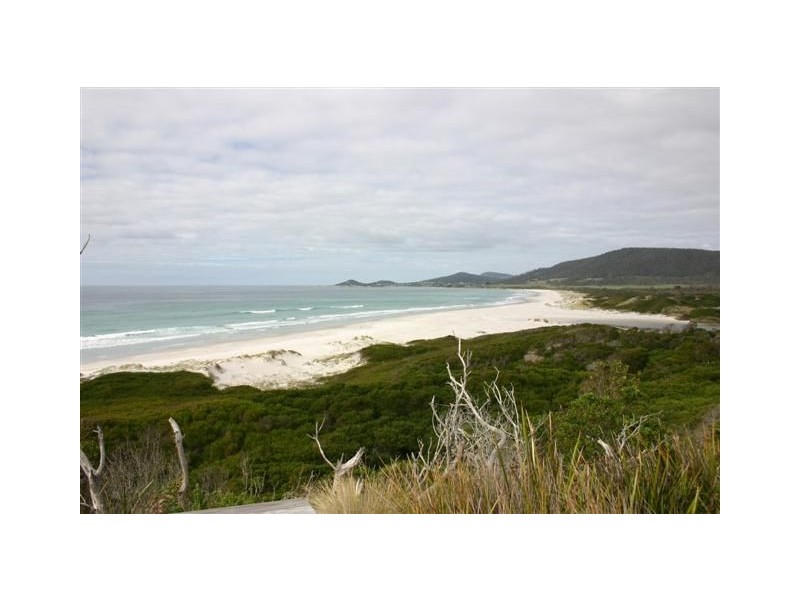 18482 Tasman Highway, Bicheno TAS 7215