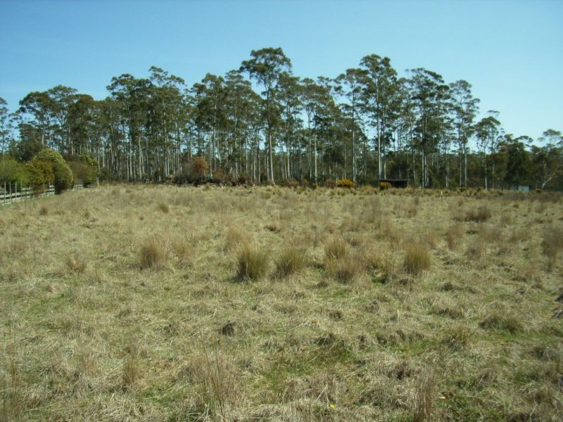 Lot 2 Kalangadoo Road, Lake Leake TAS 7210