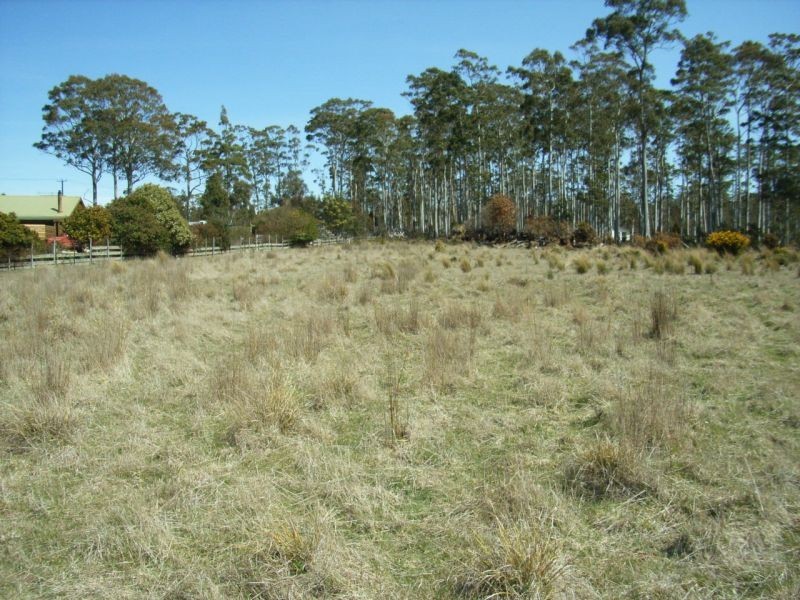 Lot 2 Kalangadoo Road, Lake Leake TAS 7210