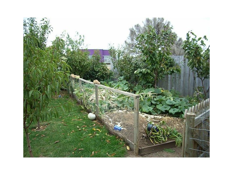 22 Francis Street, Swansea TAS 7190