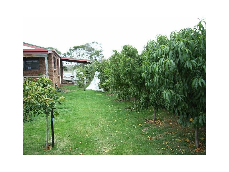 22 Francis Street, Swansea TAS 7190
