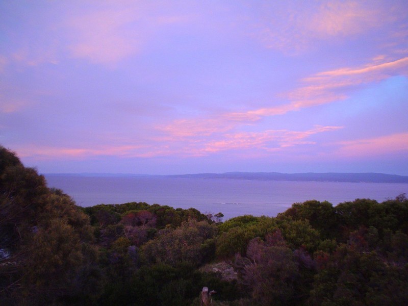 126 Swanwick Drive, Coles Bay TAS 7215