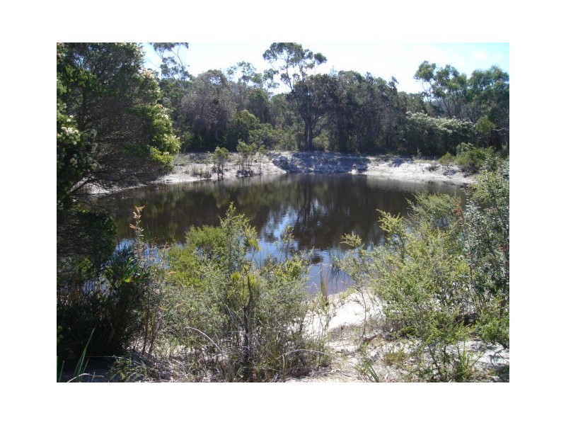 1/119 Harveys Farm Road, Bicheno TAS 7215
