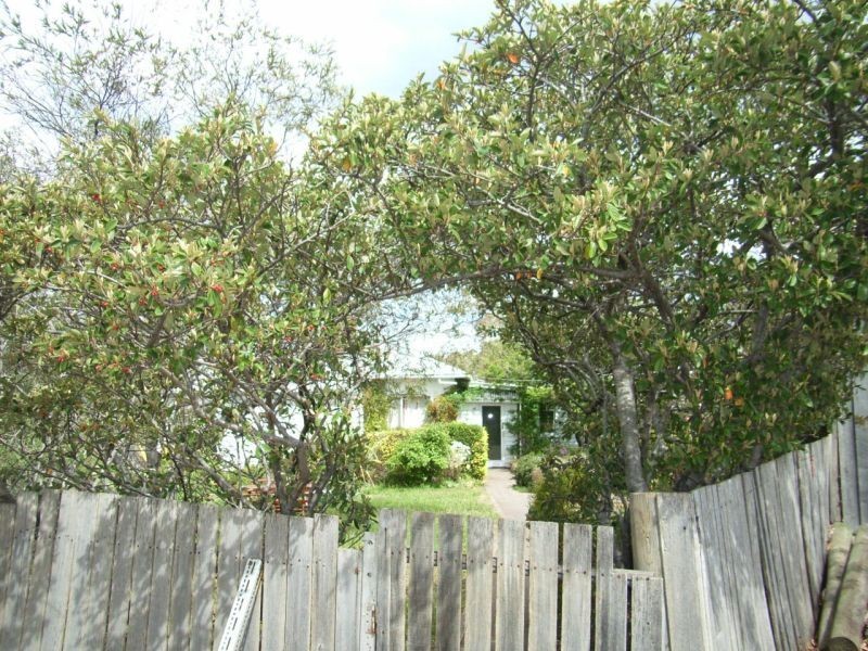 5 Burgess Street, Swansea TAS 7190