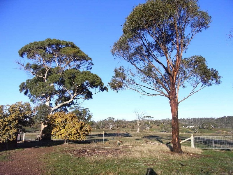 19 Cathcart Street, Swansea TAS 7190