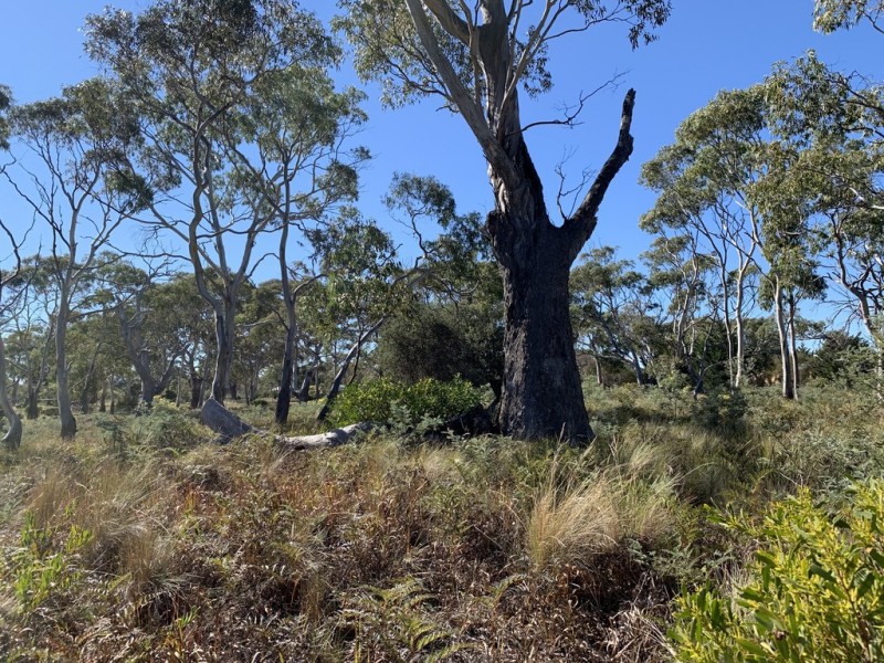 105 Cambria Drive, Dolphin Sands TAS 7190