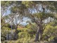 276 Harveys Farm Road, Bicheno TAS 7215