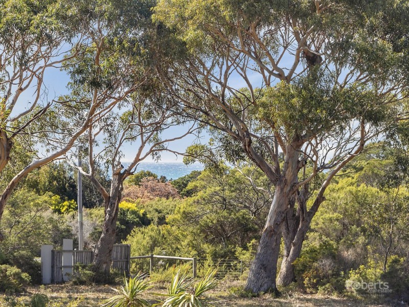 276 Harveys Farm Road, Bicheno TAS 7215