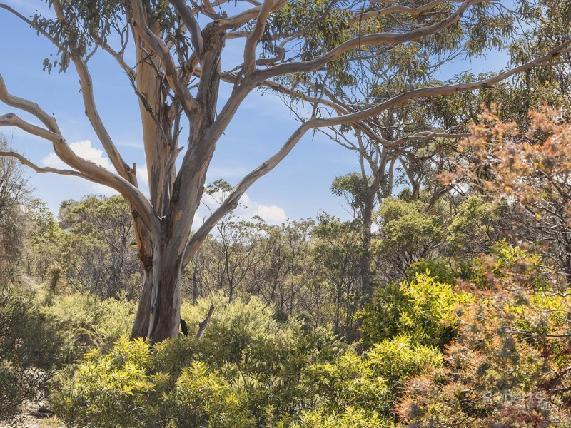 276 Harveys Farm Road, Bicheno TAS 7215