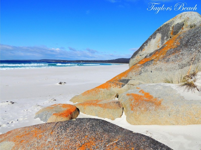1174 Gardens Road, The Gardens TAS 7216