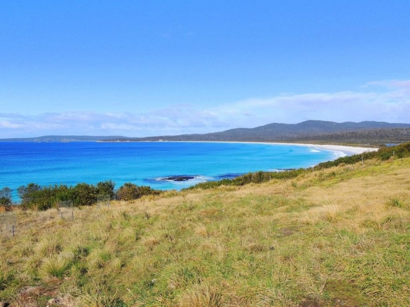 1174 Gardens Road, The Gardens TAS 7216