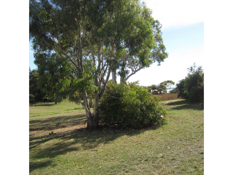 19 Old Spring Bay Road, Swansea TAS 7190