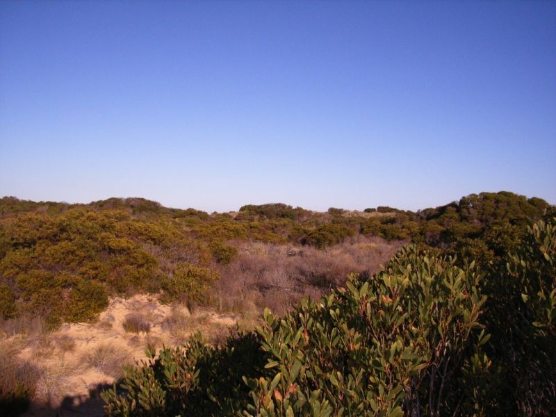 Lot 140 Dolphin Sands Road, Swansea TAS 7190