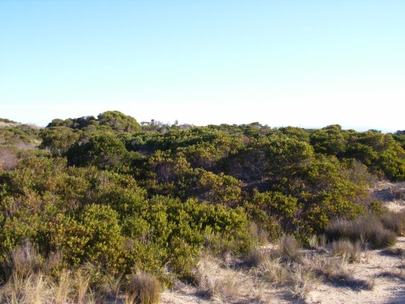 Lot 140 Dolphin Sands Road, Swansea TAS 7190