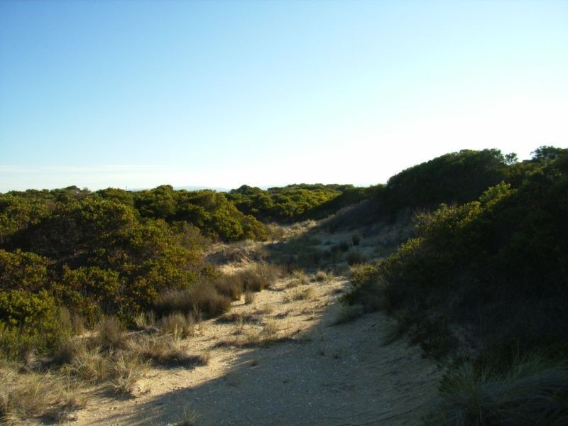 Lot 140 Dolphin Sands Road, Swansea TAS 7190