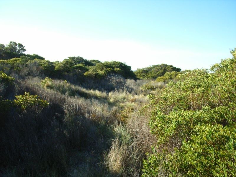 Lot 140 Dolphin Sands Road, Swansea TAS 7190
