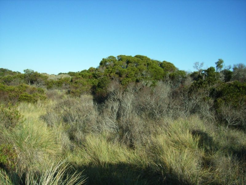 Lot 140 Dolphin Sands Road, Swansea TAS 7190