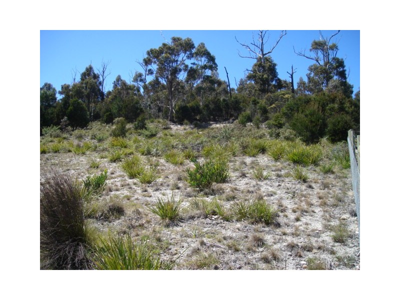 9 Gordon Heights, Bicheno TAS 7215