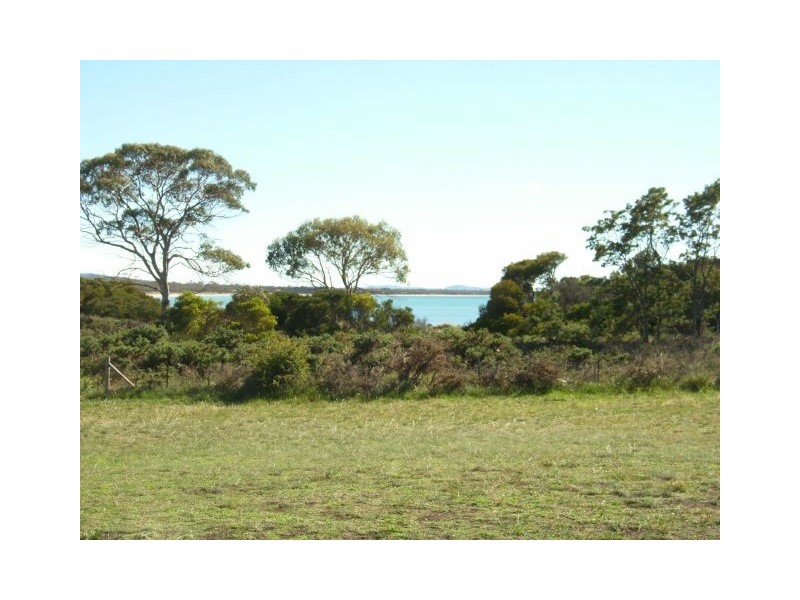 56 Shaw Street, Swansea TAS 7190