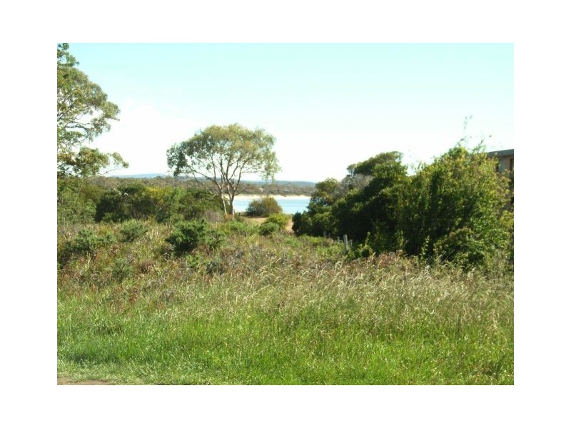 56 Shaw Street, Swansea TAS 7190