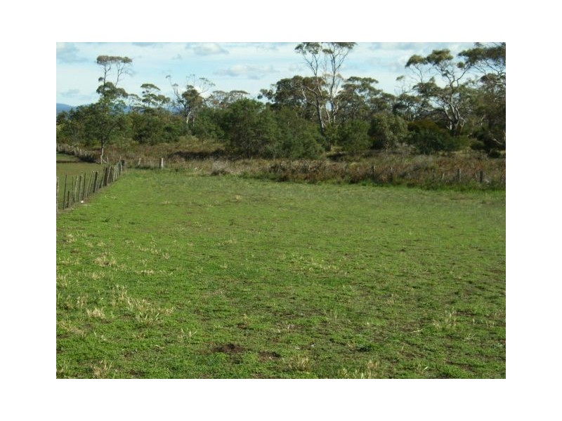 56 Shaw Street, Swansea TAS 7190