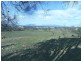 98 Gordon Street, Swansea TAS 7190