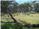 16404 Tasman Highway, Bicheno TAS 7215
