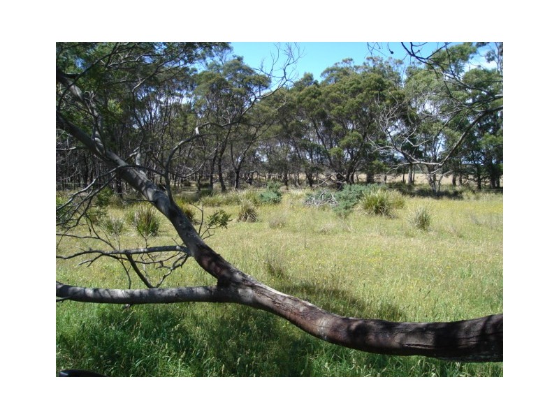16404 Tasman Highway, Bicheno TAS 7215