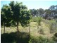 16404 Tasman Highway, Bicheno TAS 7215