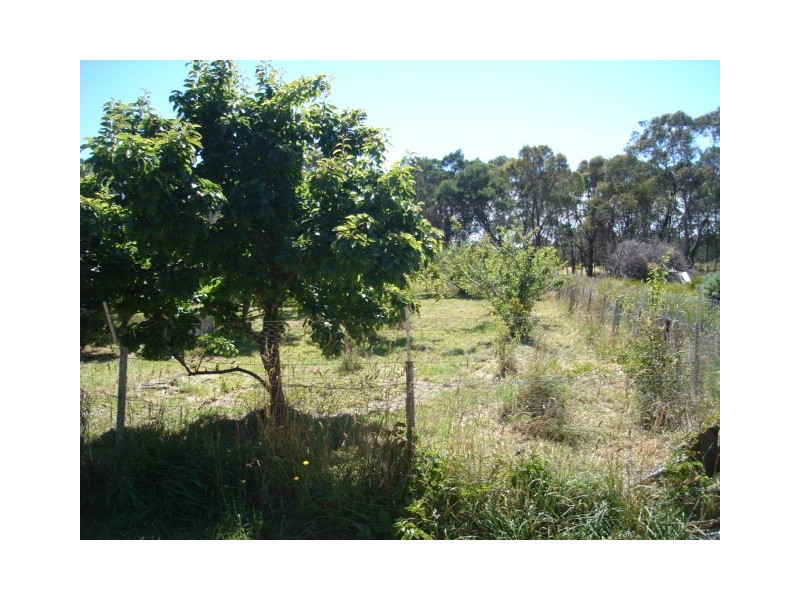 16404 Tasman Highway, Bicheno TAS 7215