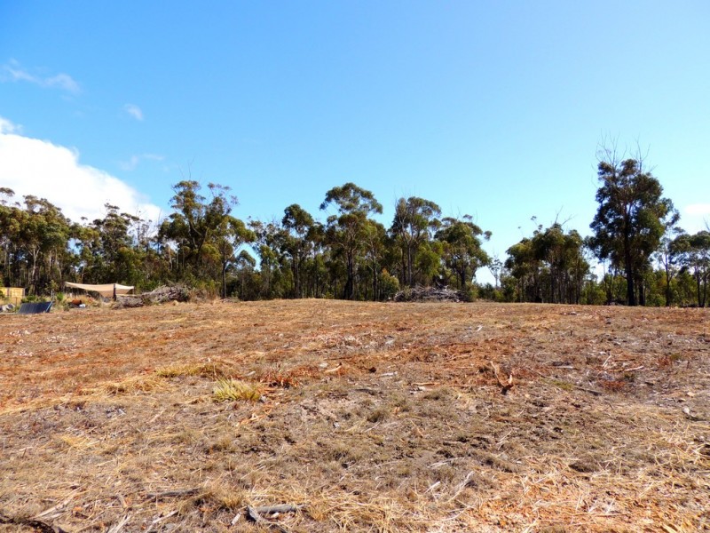 21 Oberon Place, Scamander TAS 7215