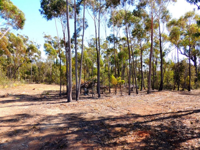 21 Oberon Place, Scamander TAS 7215