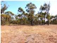 21 Oberon Place, Scamander TAS 7215