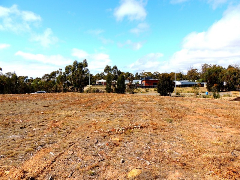 21 Oberon Place, Scamander TAS 7215
