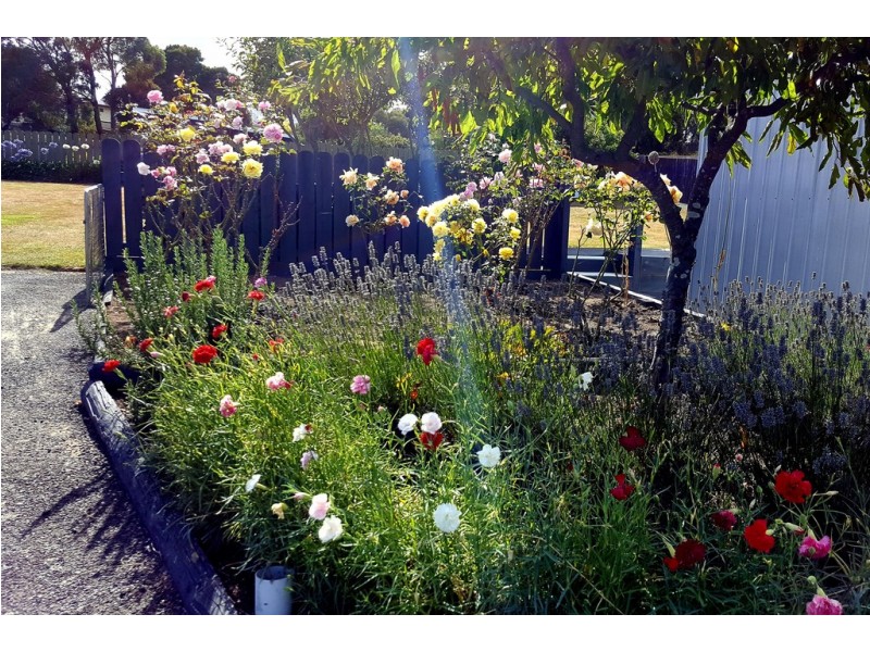 19 Gray Road, St Marys TAS 7215