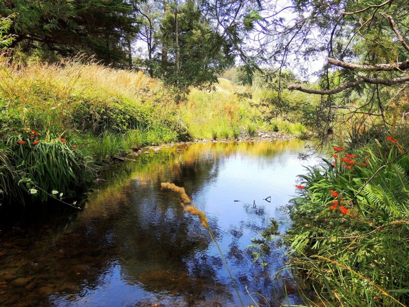 39 Main Street, St Marys TAS 7215